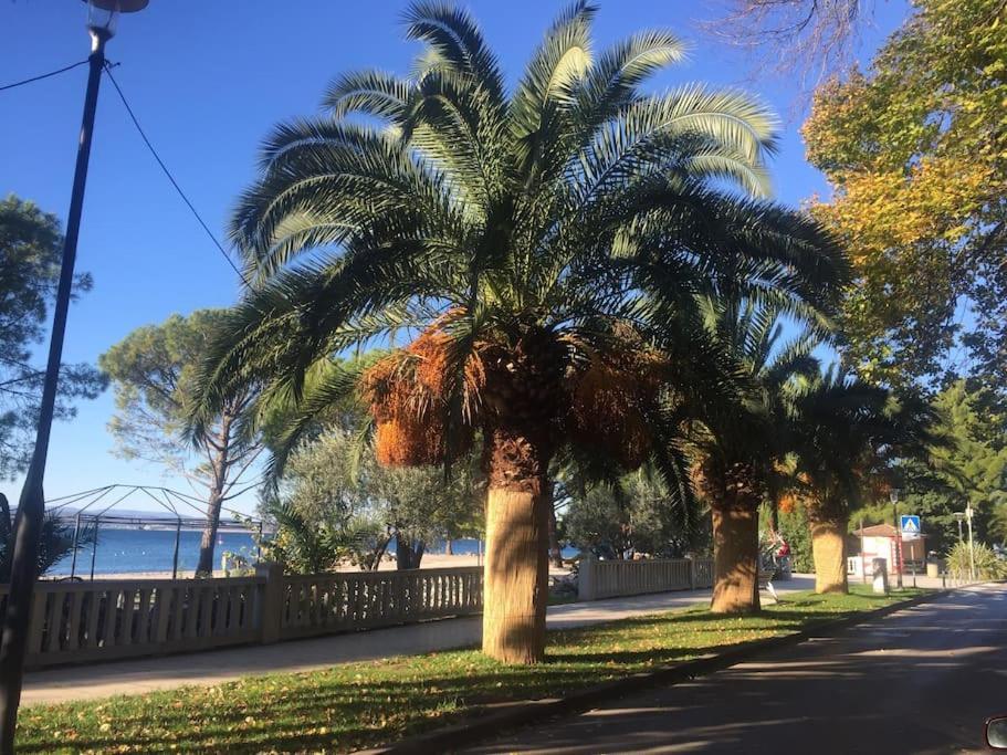 Ferienwohnung Nena In Crikvenica Bagian luar foto
