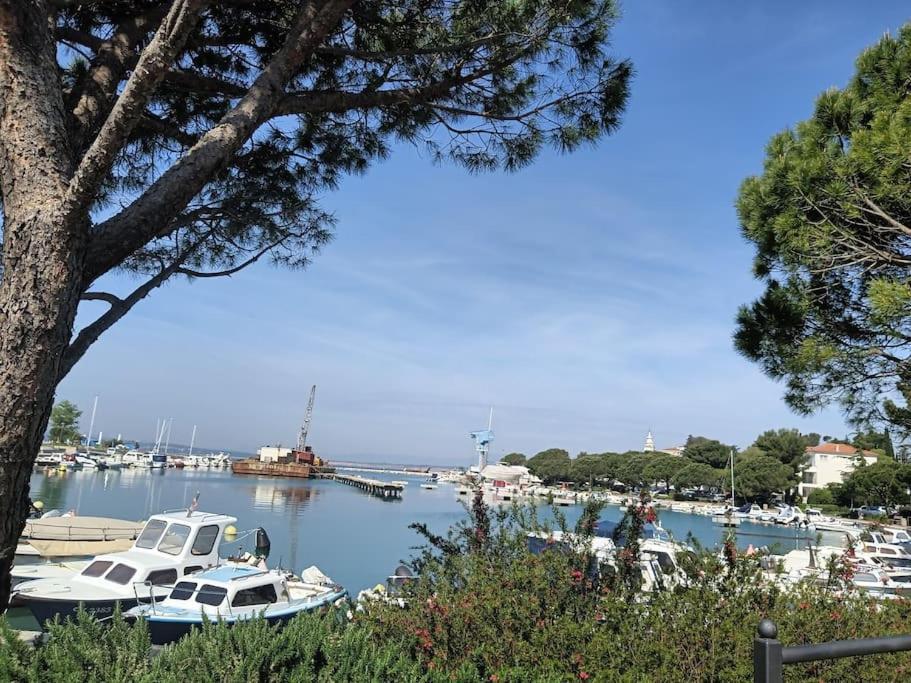 Ferienwohnung Nena In Crikvenica Bagian luar foto