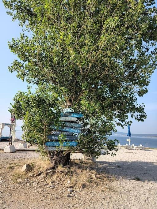 Ferienwohnung Nena In Crikvenica Bagian luar foto