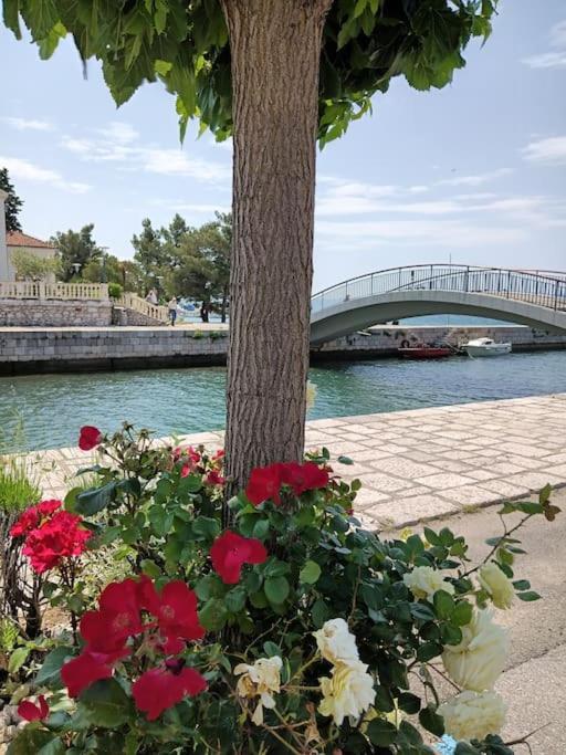 Ferienwohnung Nena In Crikvenica Bagian luar foto